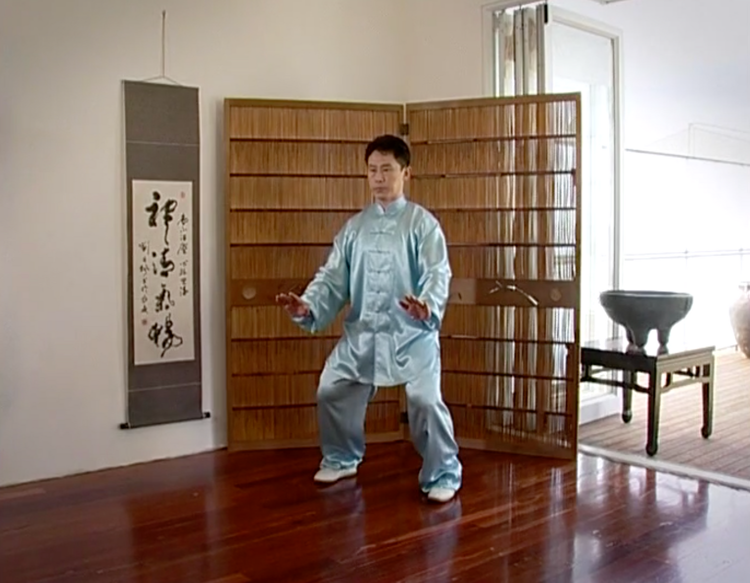 The Power of Tai Chi DVD by Shao Zhao-Ming (Preowned) - Budovideos