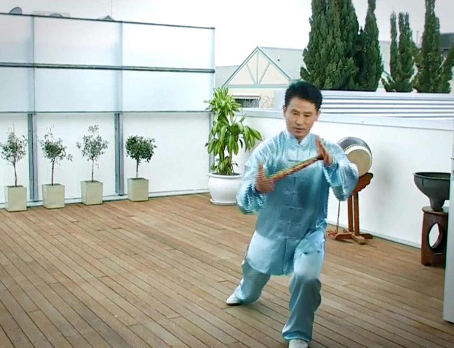 The Power of Tai Chi DVD by Shao Zhao-Ming (Preowned) - Budovideos