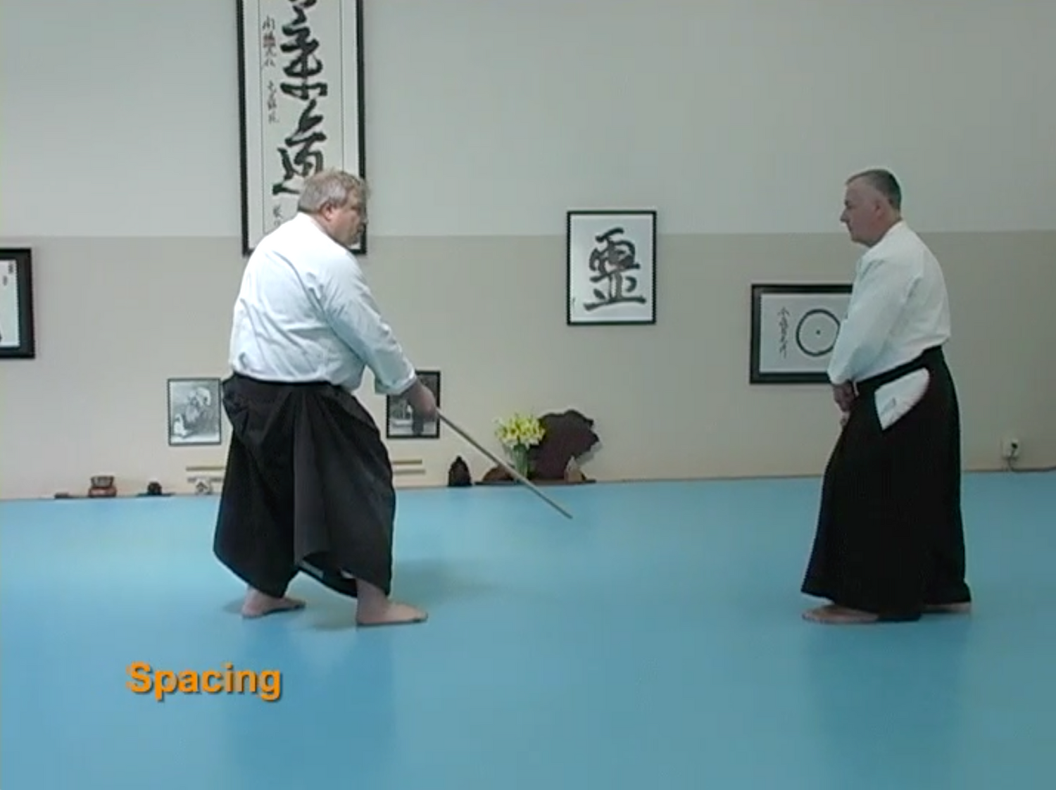 The Principles of the Aikido Sword & Saotome Sensei’s First Five Kumitachi DVD by George Ledyard (Preowned) - Budovideos