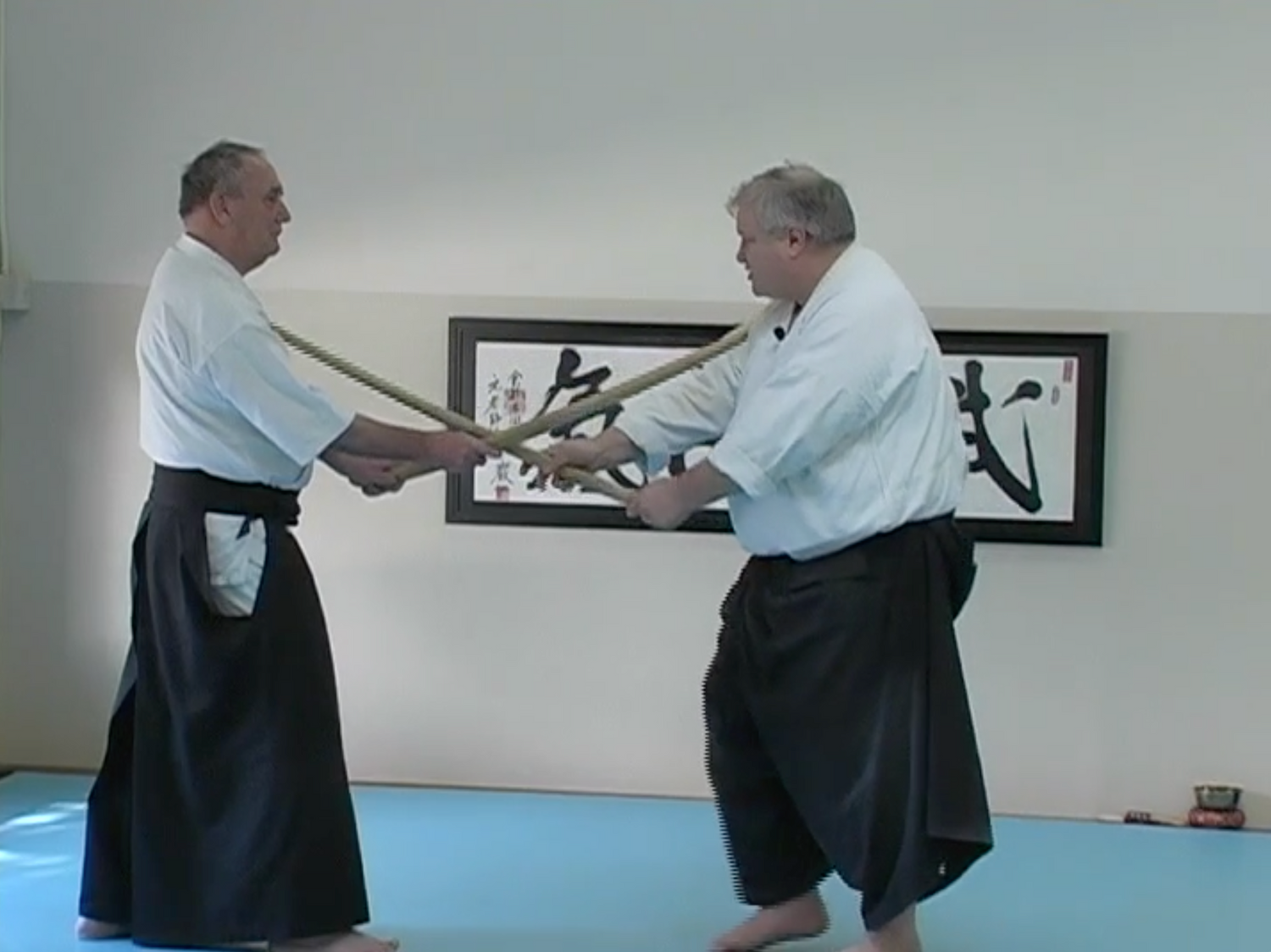 The Principles of the Aikido Sword & Saotome Sensei’s First Five Kumitachi DVD by George Ledyard (Preowned) - Budovideos