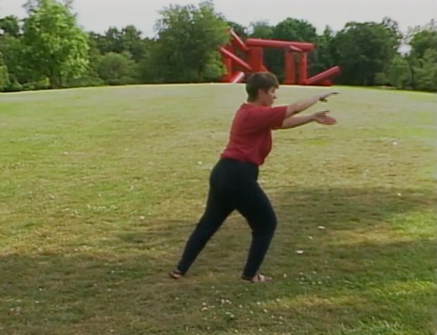 Tai Chi for Women DVD by Claire Hager (Preowned) - Budovideos Inc