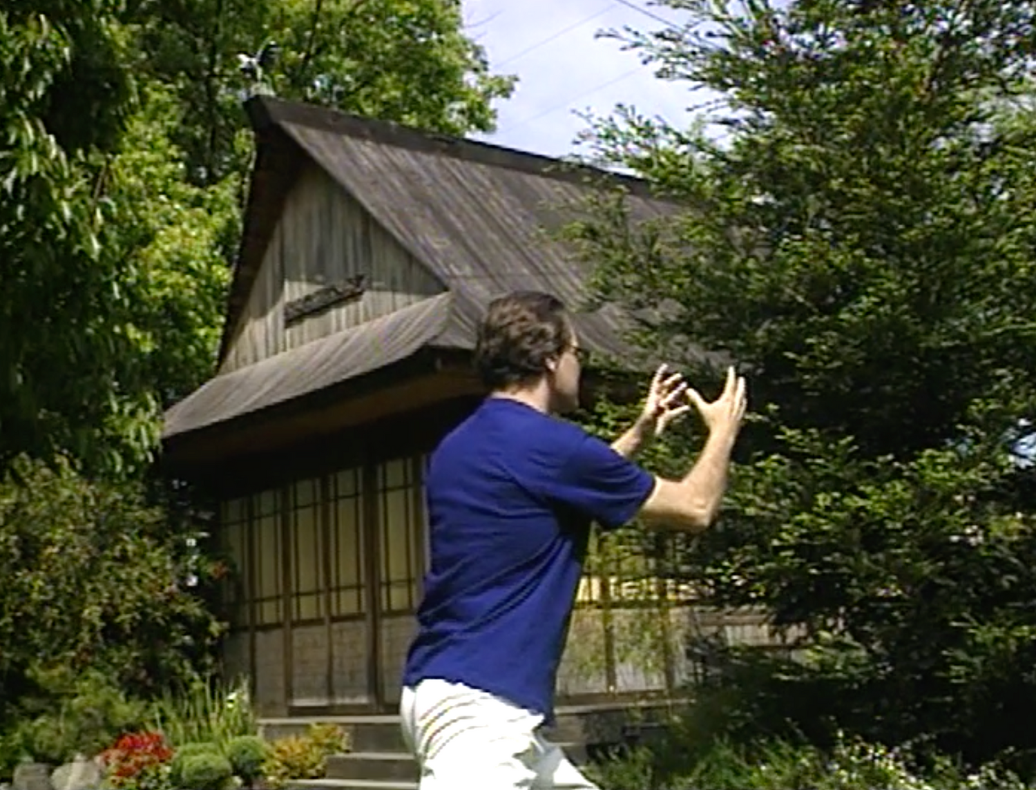 Tai Chi for Healing DVD by Mark Johnson (Preowned) - Budovideos