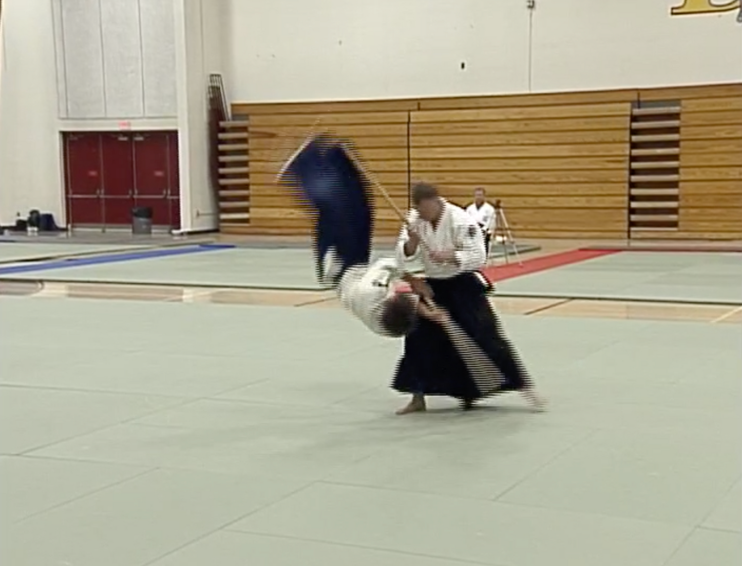 Aiki Expo 2005 Demonstrations Part 2 DVD (Preowned) - Budovideos