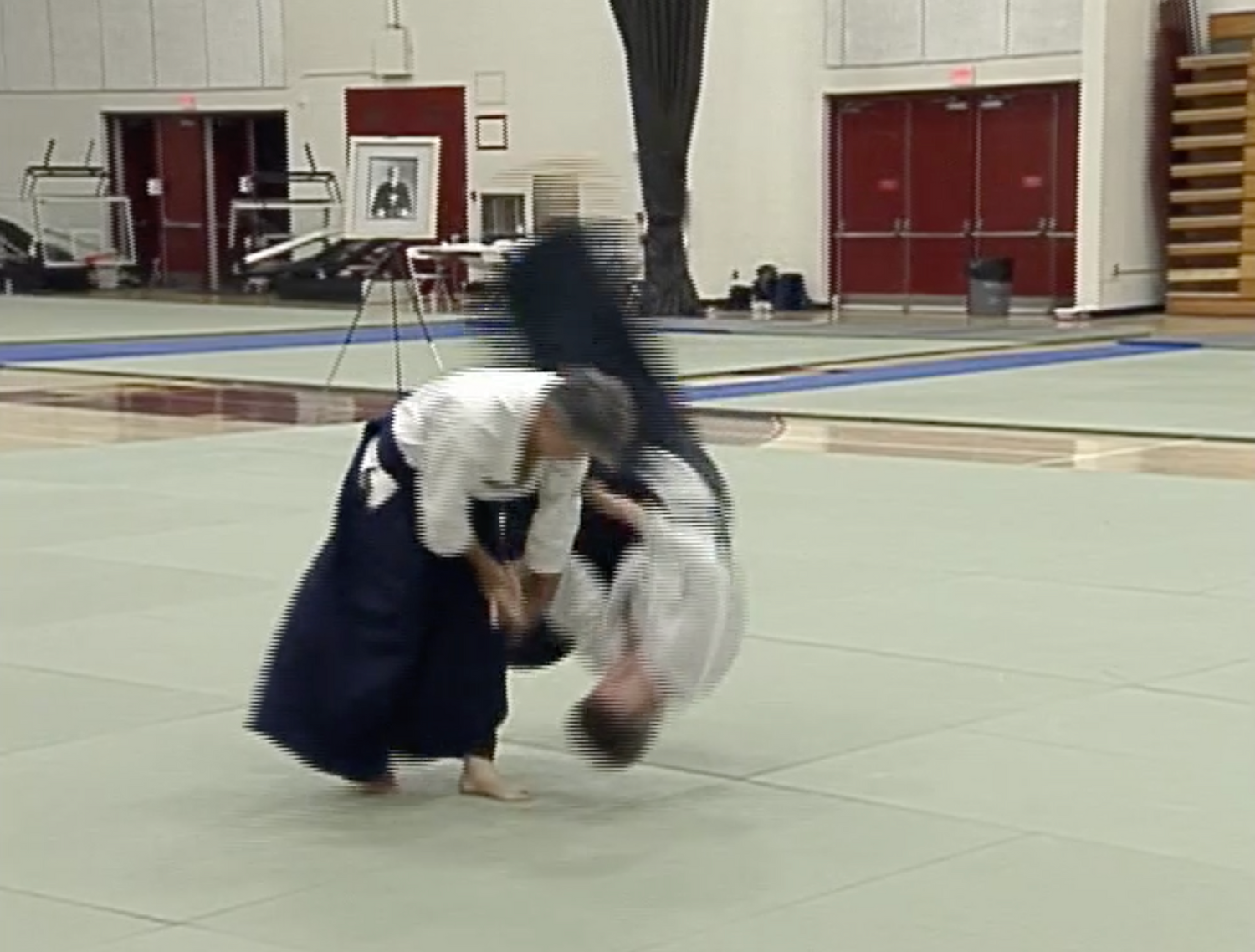 Aiki Expo 2005 Demonstrations Part 2 DVD (Preowned) - Budovideos