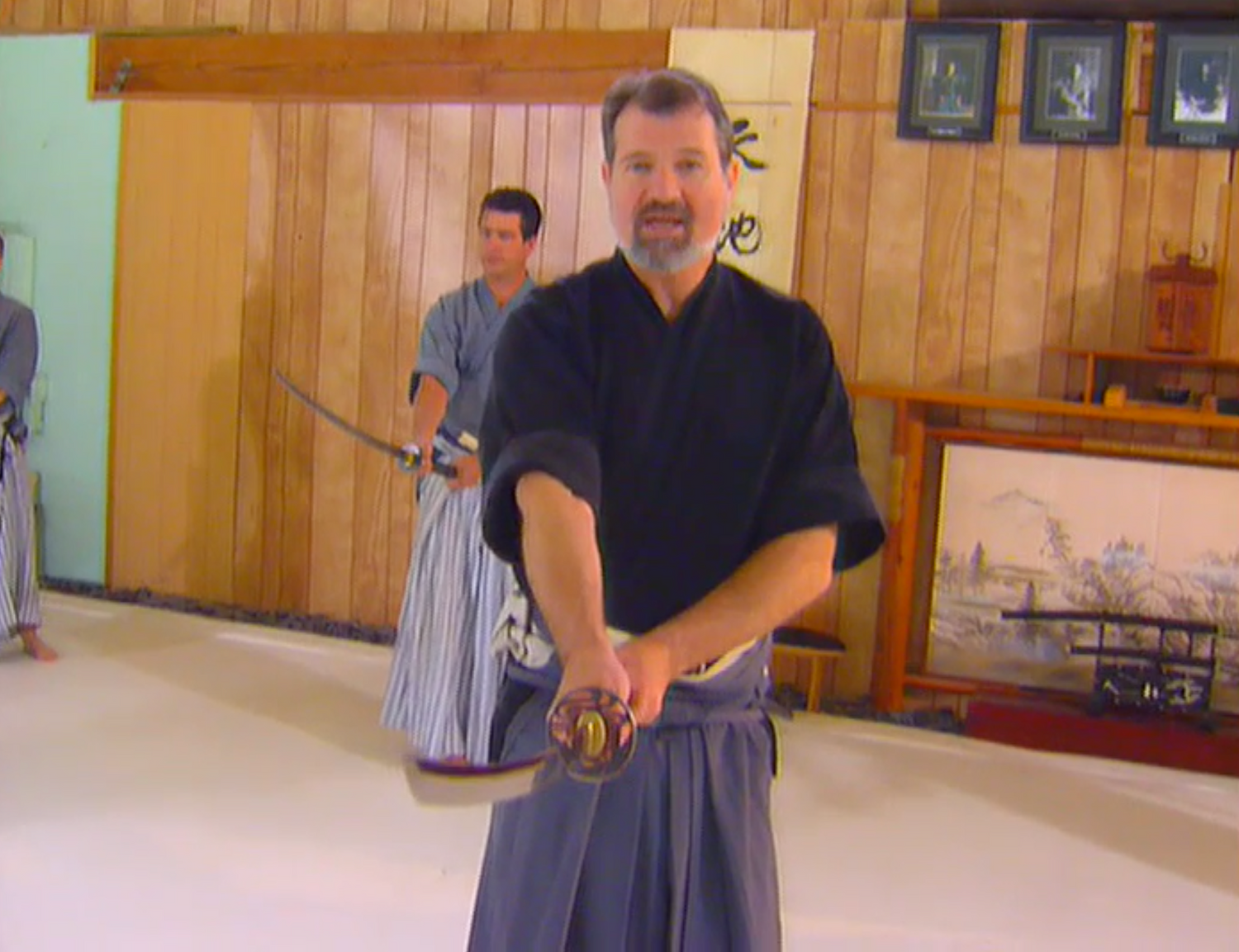 Nami Ryu Kenjutsu DVD by James Williams (Preowned) - Budovideos