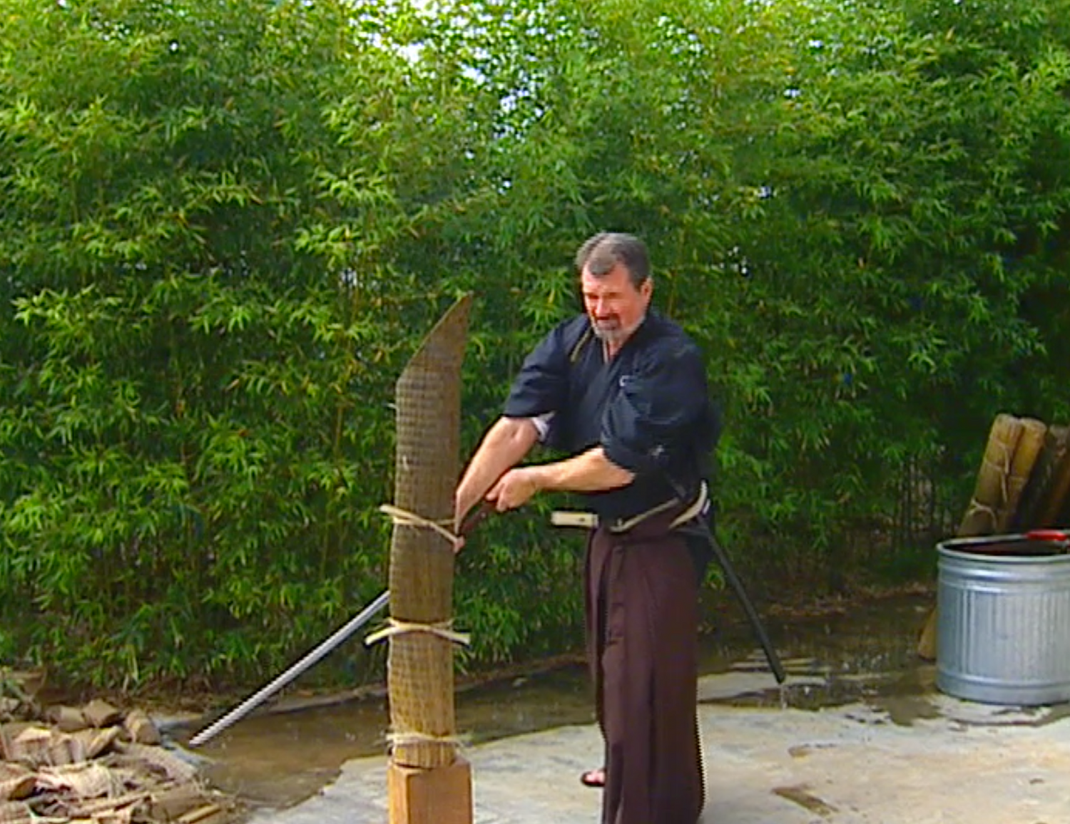 Nami Ryu Kenjutsu DVD by James Williams (Preowned) - Budovideos