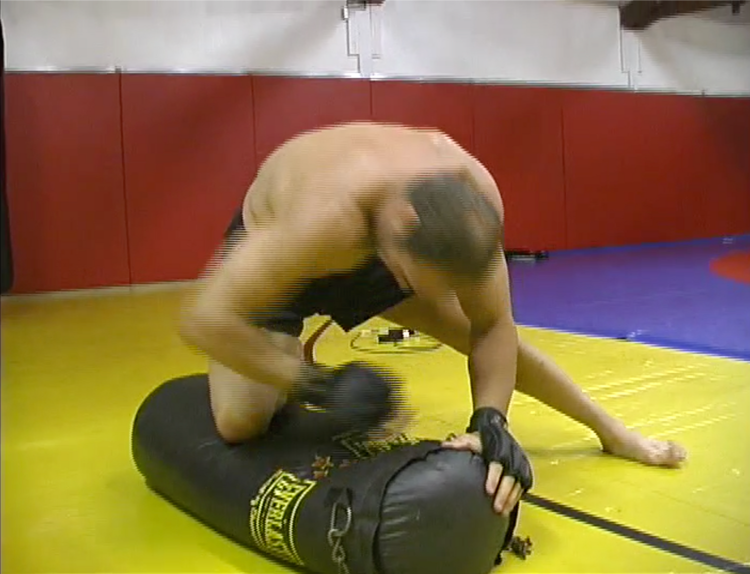 Team Quest Strength & Conditioning DVD (Preowned) - Budovideos