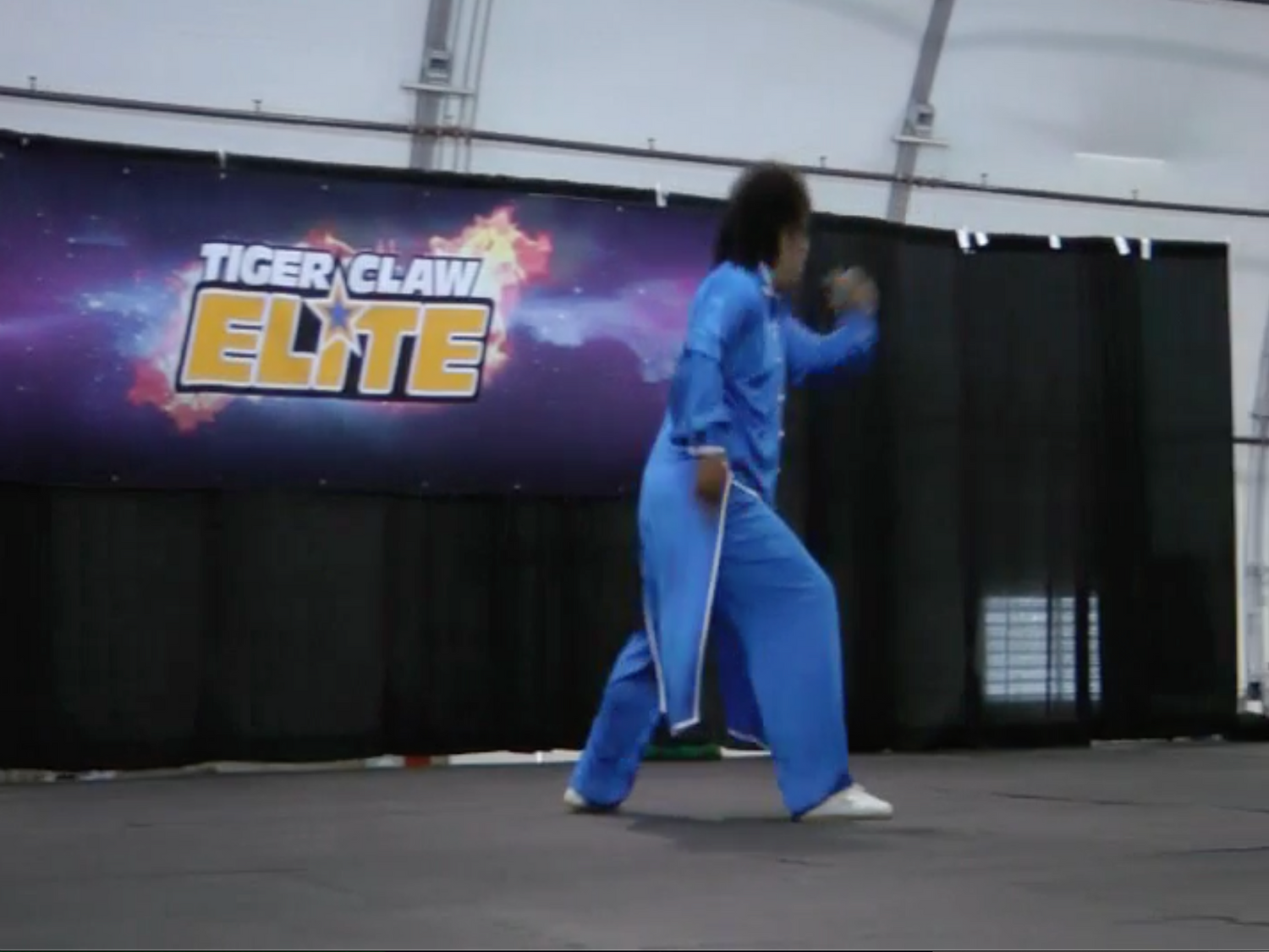 5th Annual Tai Chi Day Event DVD (Preowned) - Budovideos