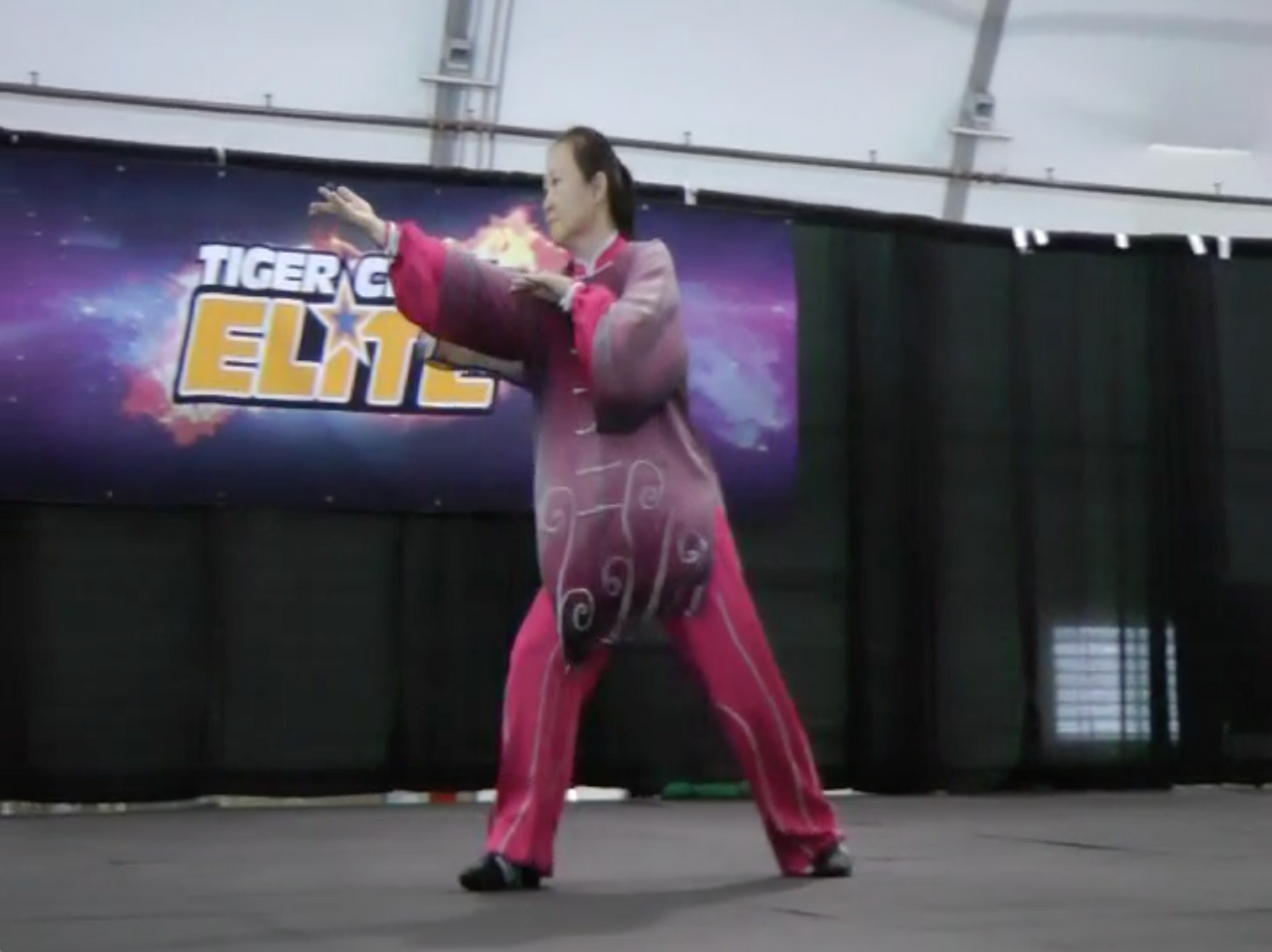 5th Annual Tai Chi Day Event DVD (Preowned) - Budovideos