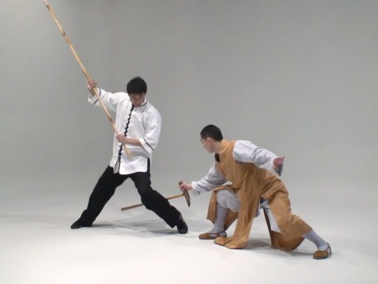 Bodhidharma Cane DVD by Shi Yantuo (Preowned) - Budovideos