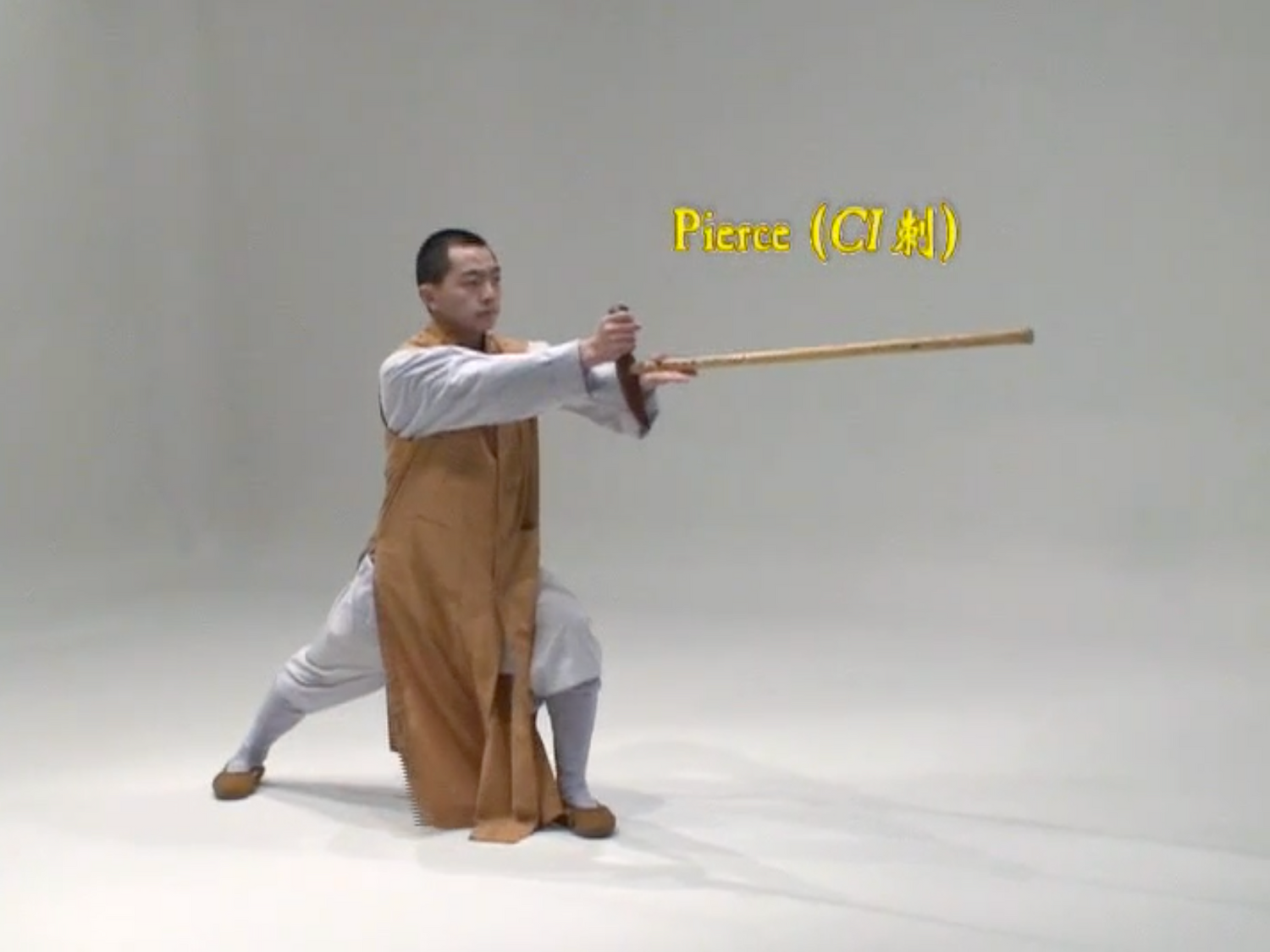 Bodhidharma Cane DVD by Shi Yantuo (Preowned) - Budovideos