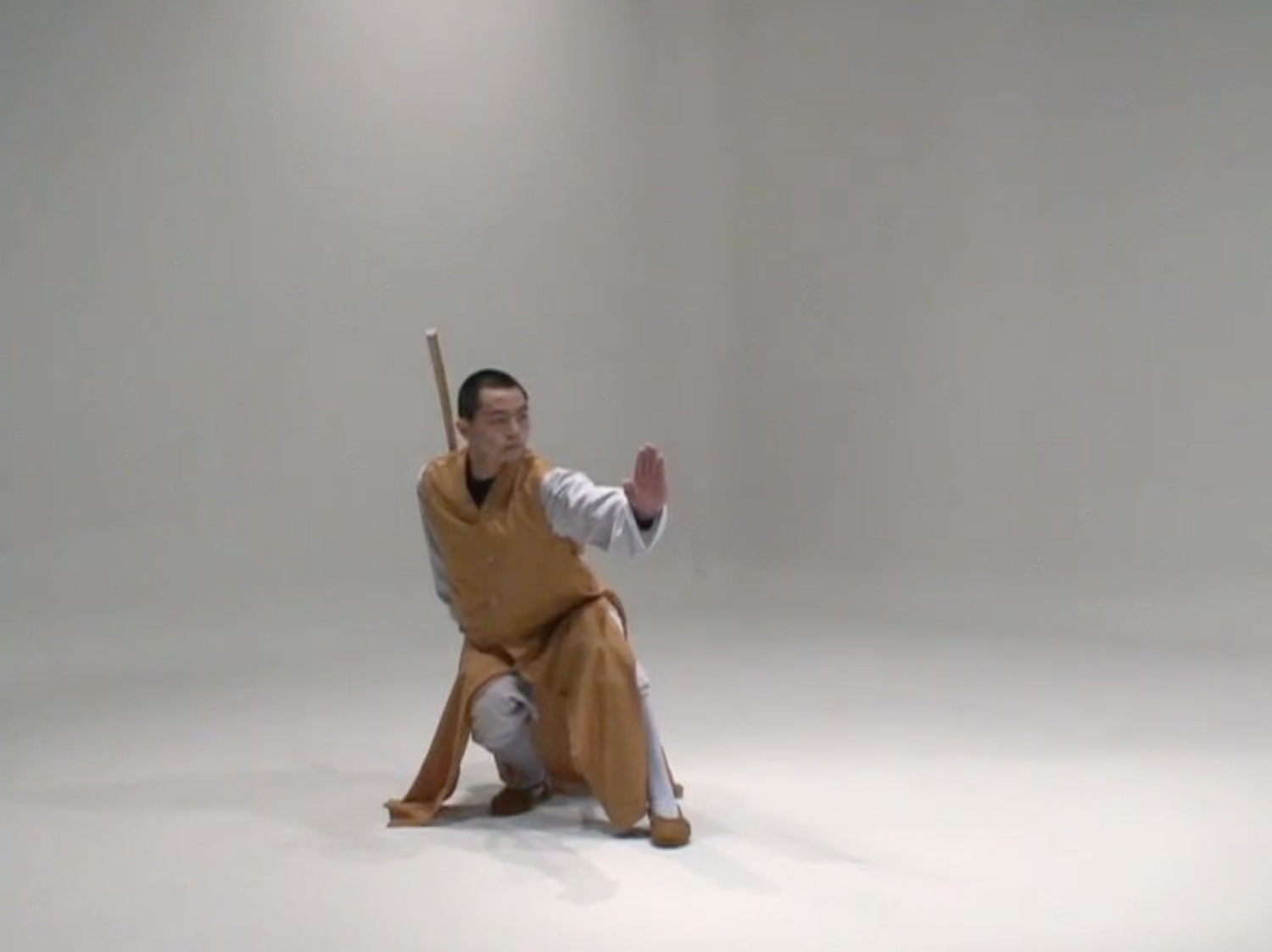 Bodhidharma Cane DVD by Shi Yantuo (Preowned) - Budovideos