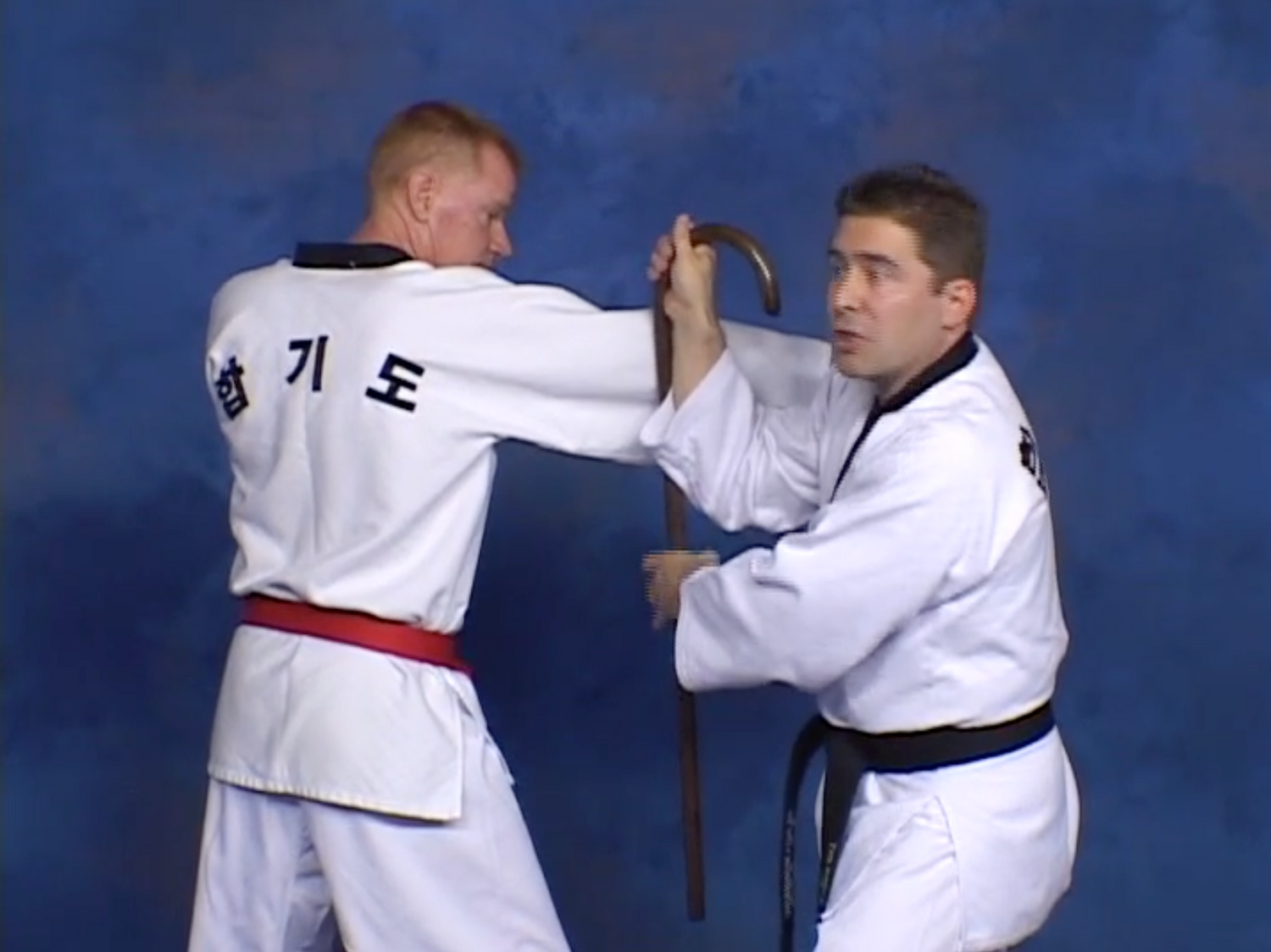 Hapkido Cane 2 DVD Set by Alain Burrese (Preowned) - Budovideos