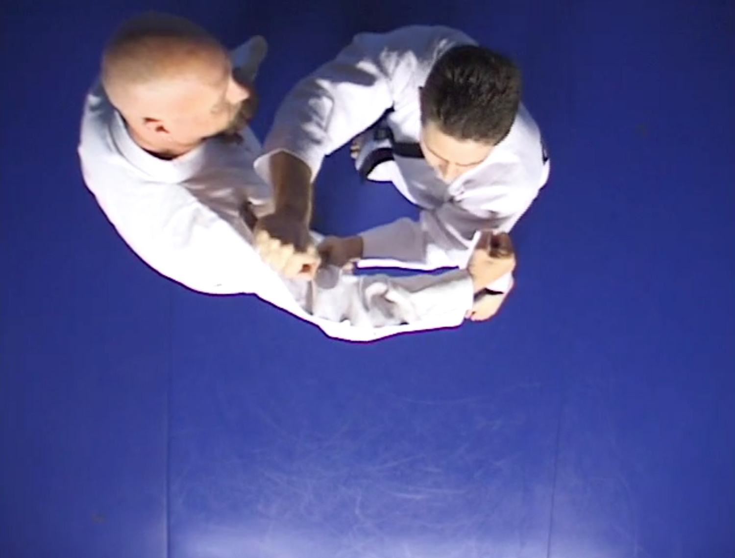 Hapkido Cane 2 DVD Set by Alain Burrese (Preowned) - Budovideos