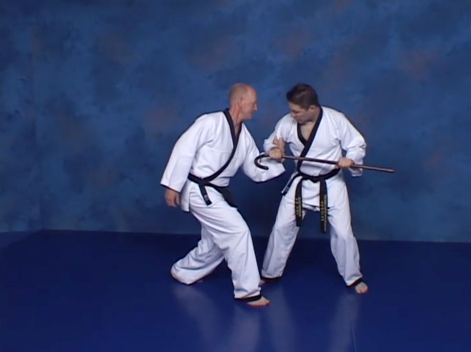 Hapkido Cane 2 DVD Set by Alain Burrese (Preowned) - Budovideos