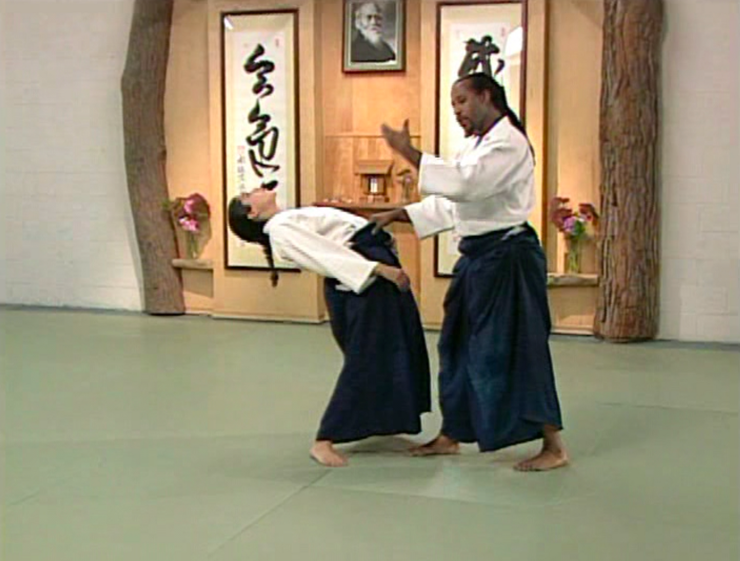Aikido Ukemi 1: Meeting the Mat DVD by Donovan Waite (Preowned) - Budovideos