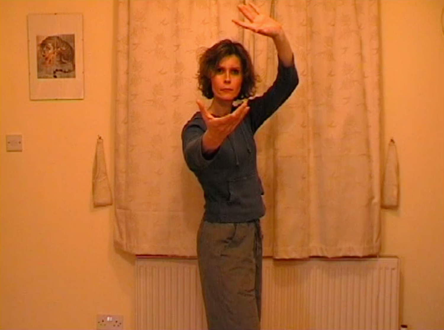 Sun Style Baguazhang 2 DVD Set by Joanna Zorya (Preowned) - Budovideos