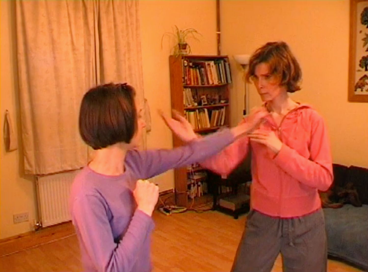 Sun Style Baguazhang 2 DVD Set by Joanna Zorya (Preowned) - Budovideos