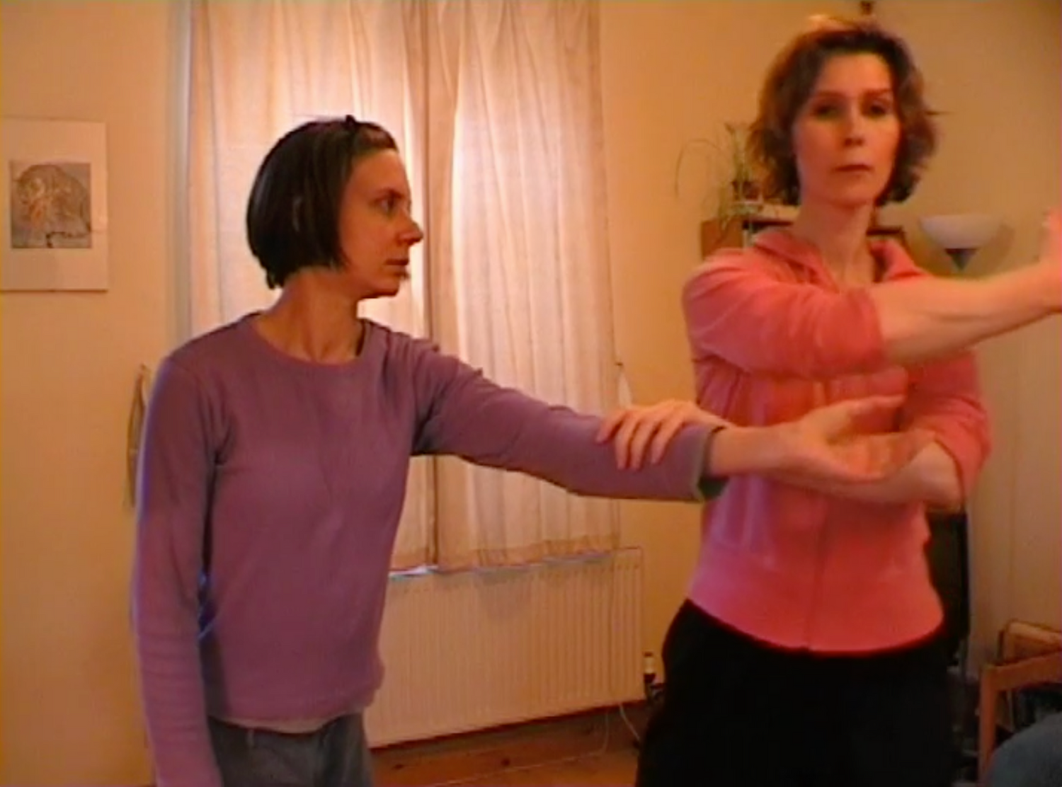 Sun Style Baguazhang 2 DVD Set by Joanna Zorya (Preowned) - Budovideos