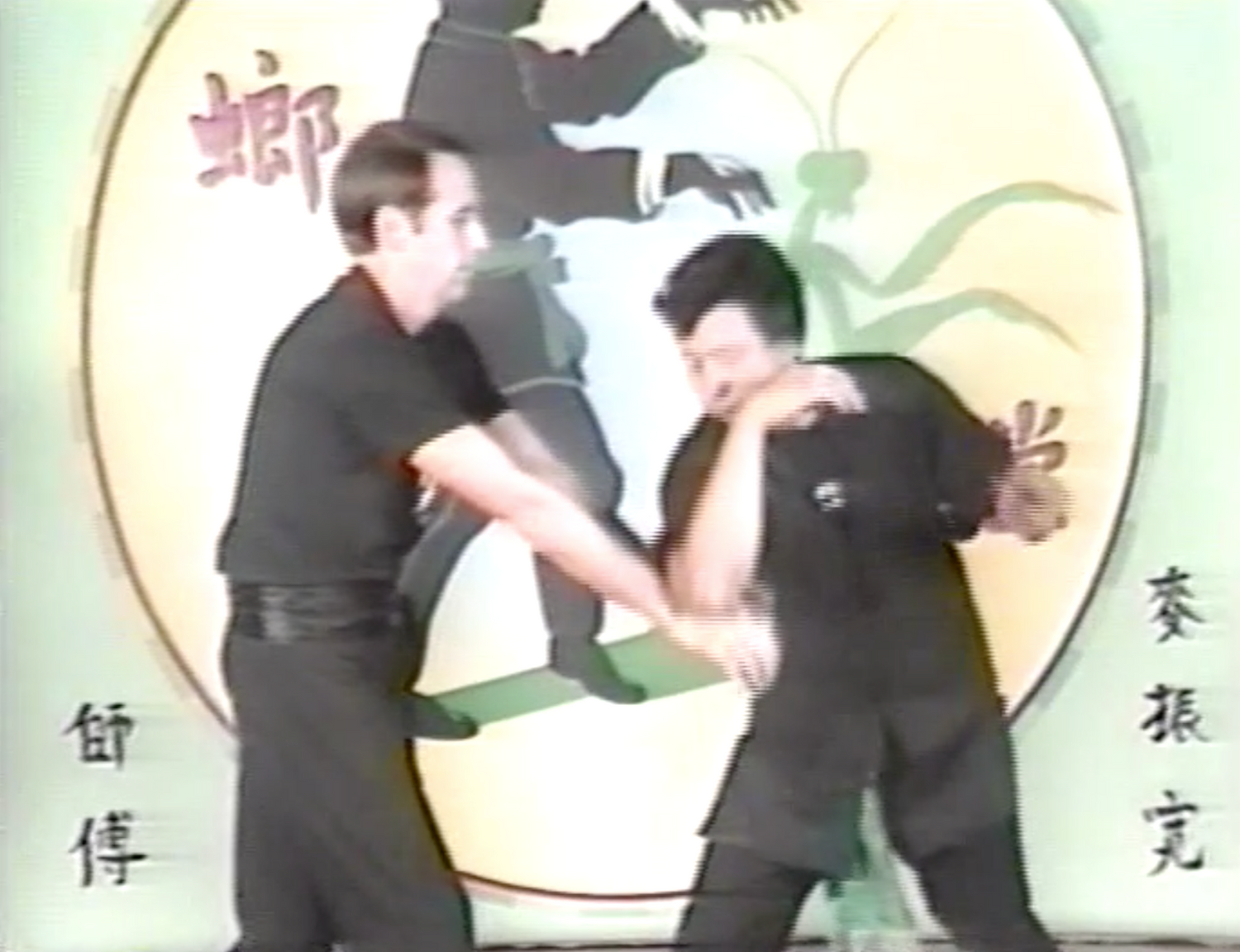 Southern Praying Mantis Kung Fu Vol 2: Three Step Arrow DVD by Gin Foon Mark (Preowned) - Budovideos