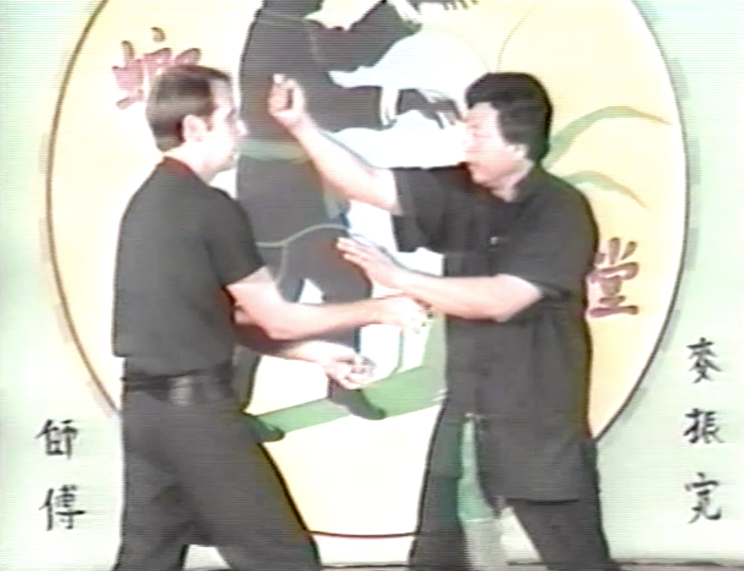 Southern Praying Mantis Kung Fu Vol 2: Three Step Arrow DVD by Gin Foon Mark (Preowned) - Budovideos