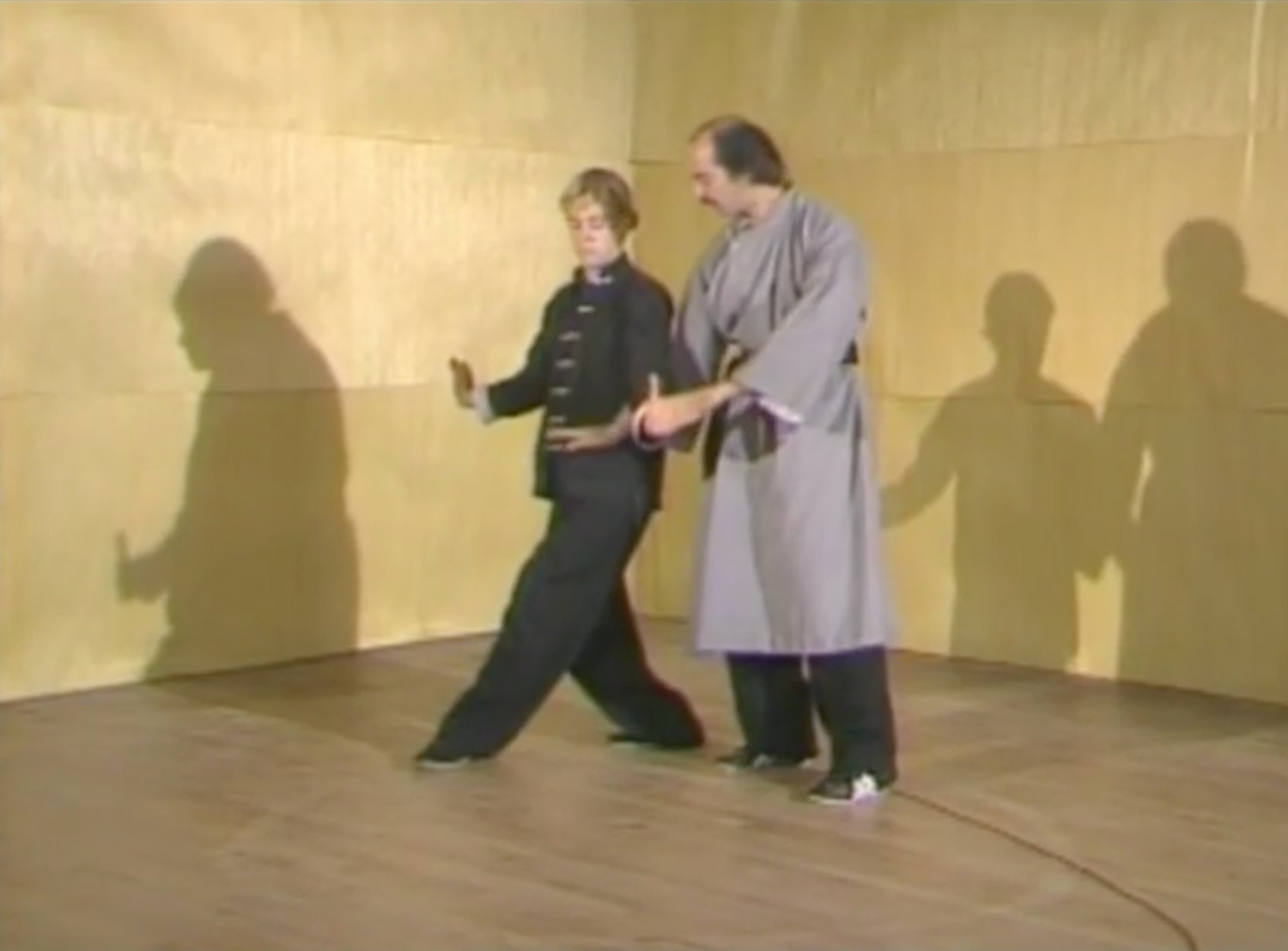 Pa Kua Chang 6 DVD Set by Jerry Alan Johnson (Preowned) - Budovideos