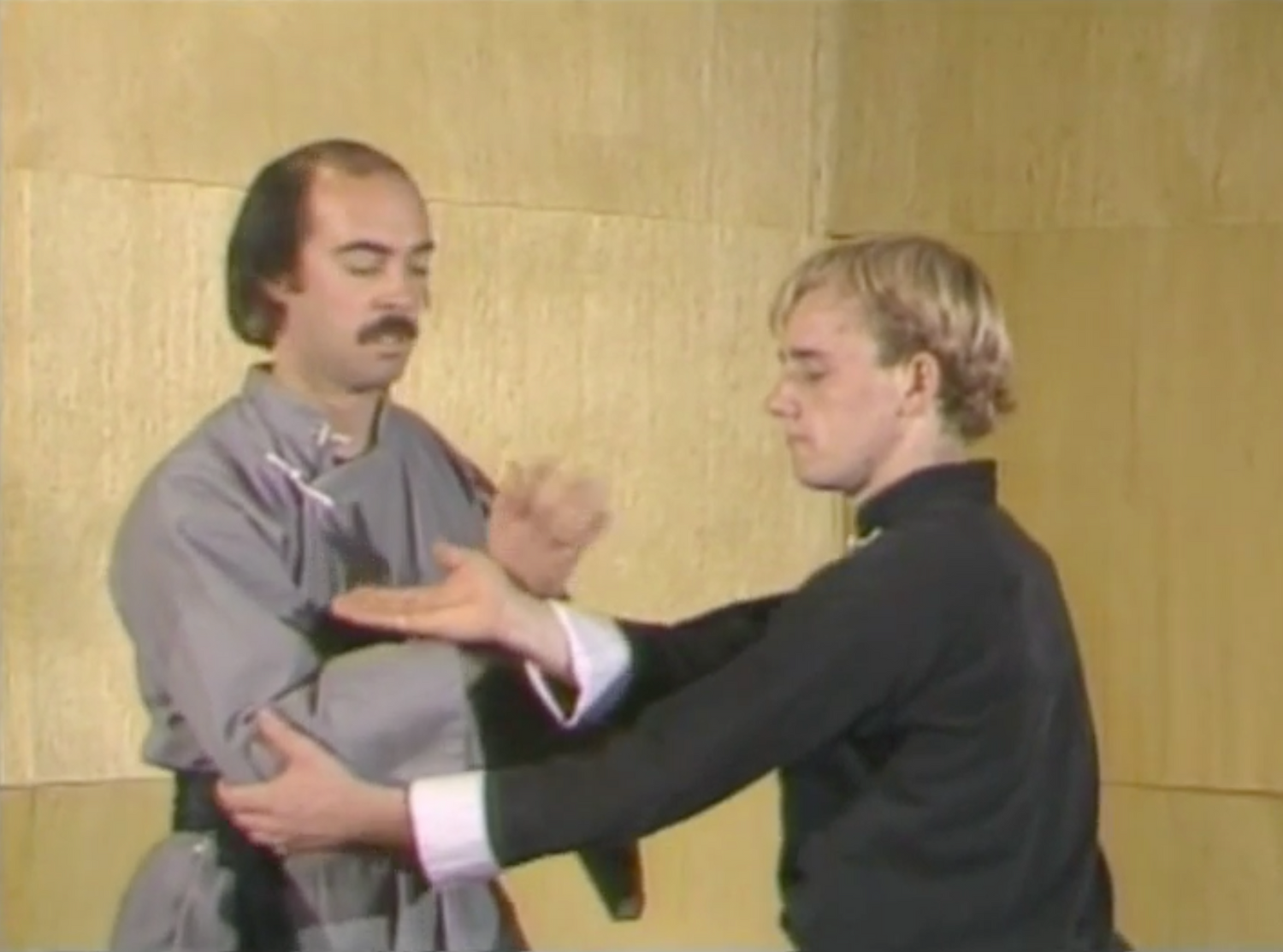 Pa Kua Chang 6 DVD Set by Jerry Alan Johnson (Preowned) - Budovideos