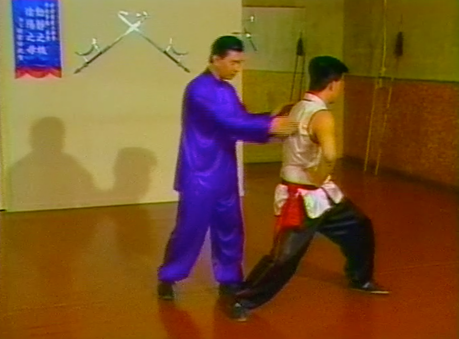 CHOY LI FUT KUNG FU 8 DVD Set with Doc Fai Wong (Preowned) - Budovideos