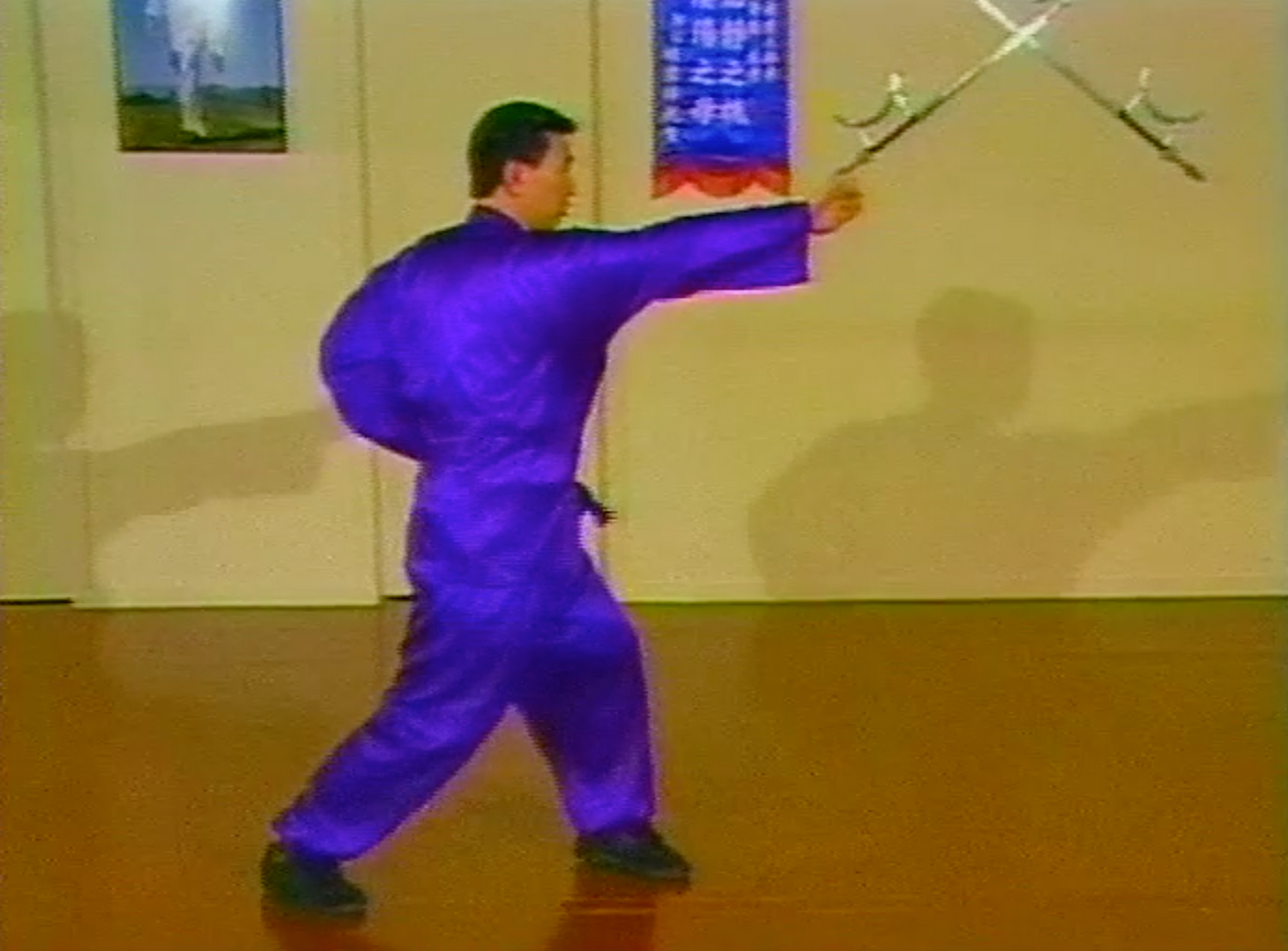 CHOY LI FUT KUNG FU 8 DVD Set with Doc Fai Wong (Preowned) - Budovideos