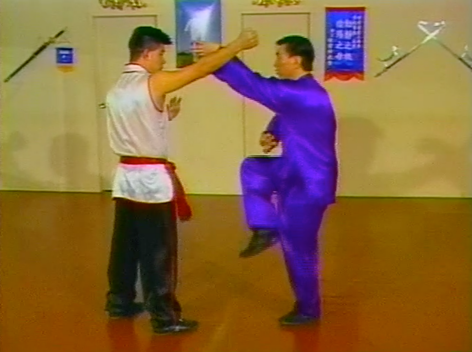 CHOY LI FUT KUNG FU 8 DVD Set with Doc Fai Wong (Preowned) - Budovideos