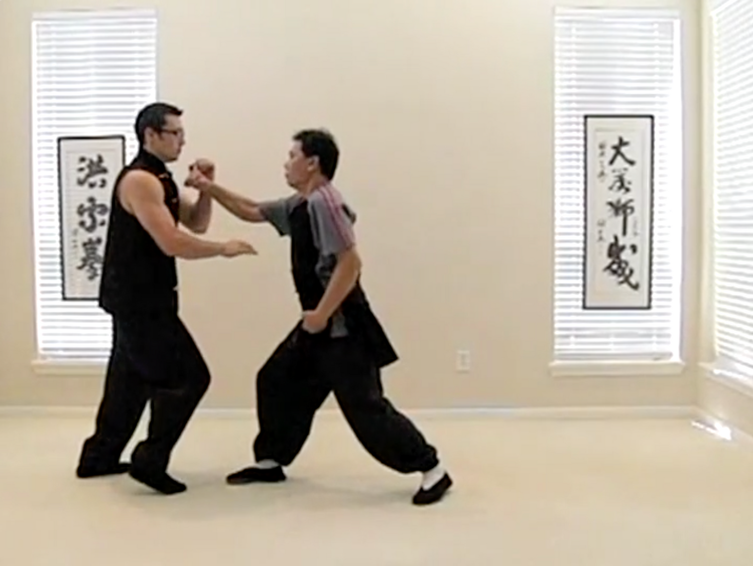 Perfection is the Truth DVD by Nelson Chin (Preowned) - Budovideos