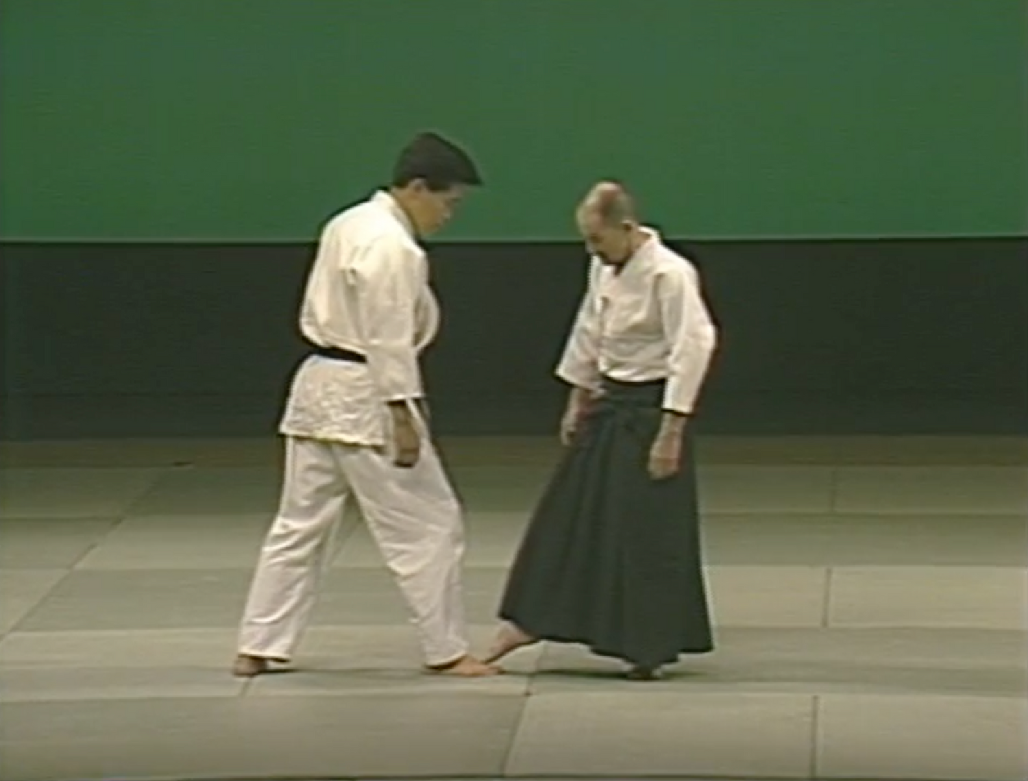 2nd Aikido Friendship Demo Part 2 DVD (Preowned) - Budovideos