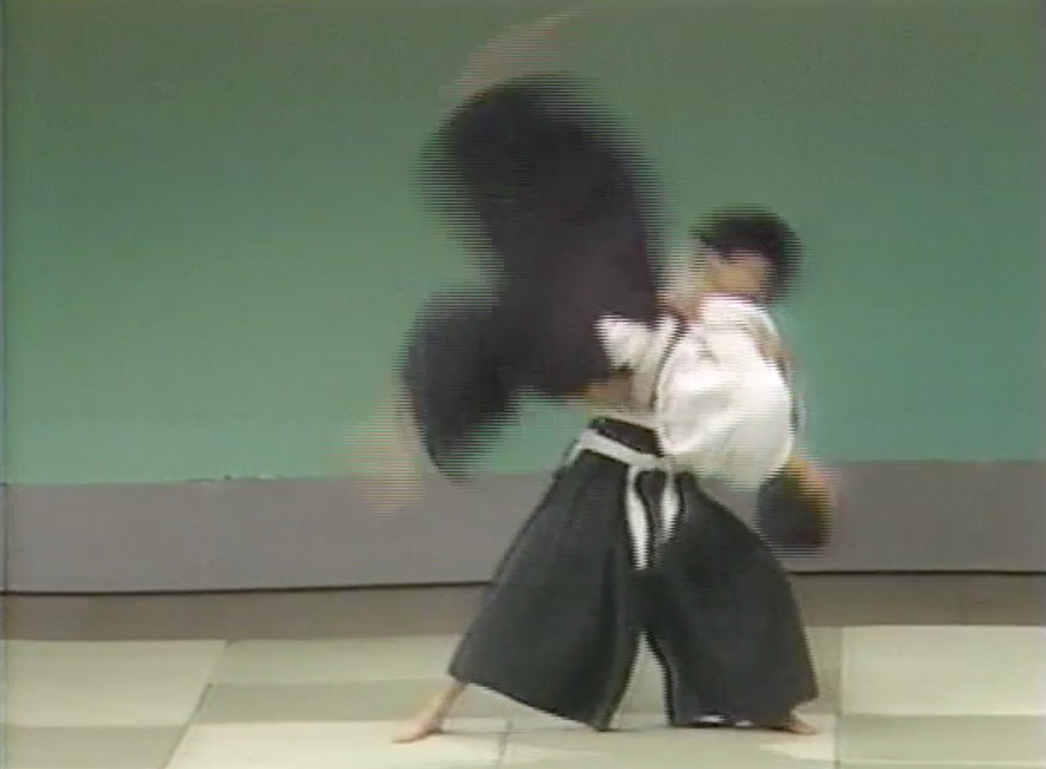 3rd Aikido Friendship Demo Part 1 DVD (Preowned) - Budovideos