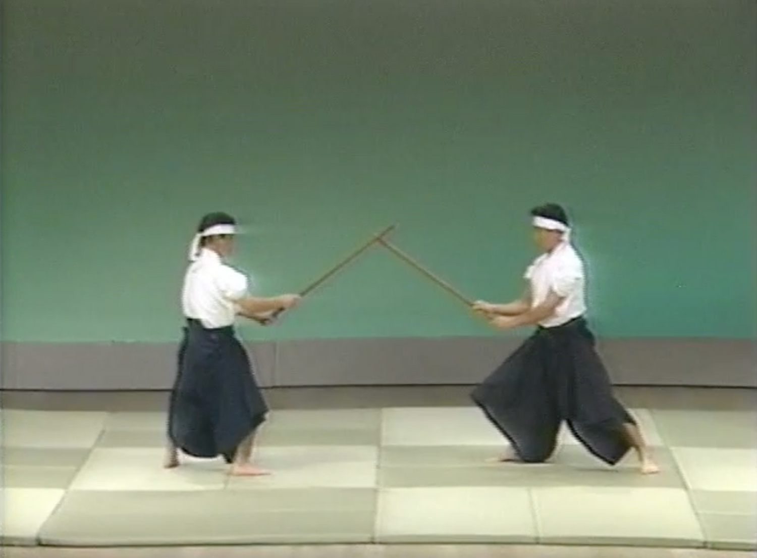 3rd Aikido Friendship Demo Part 1 DVD (Preowned) - Budovideos