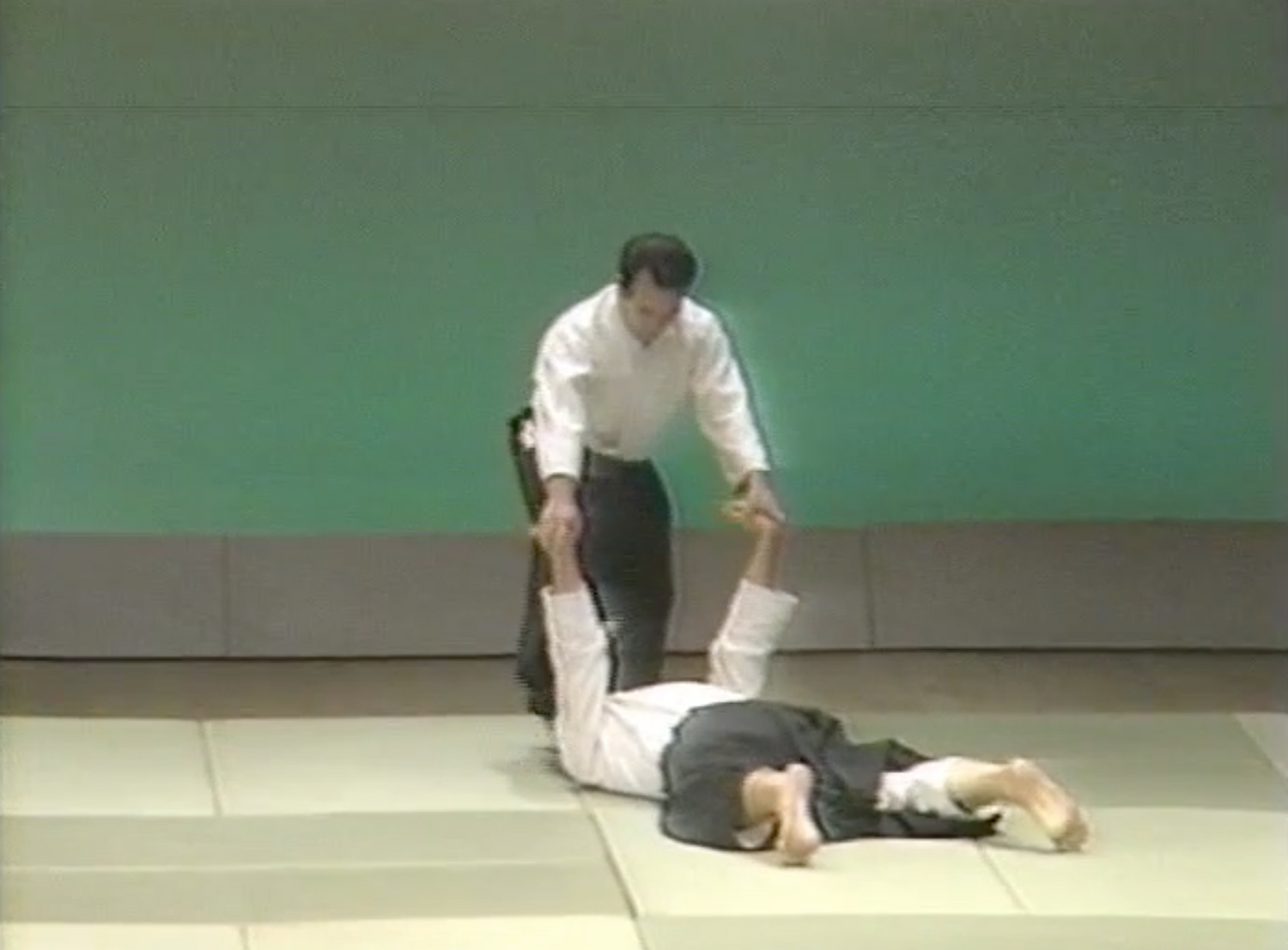 3rd Aikido Friendship Demo Part 2 DVD (Preowned) - Budovideos