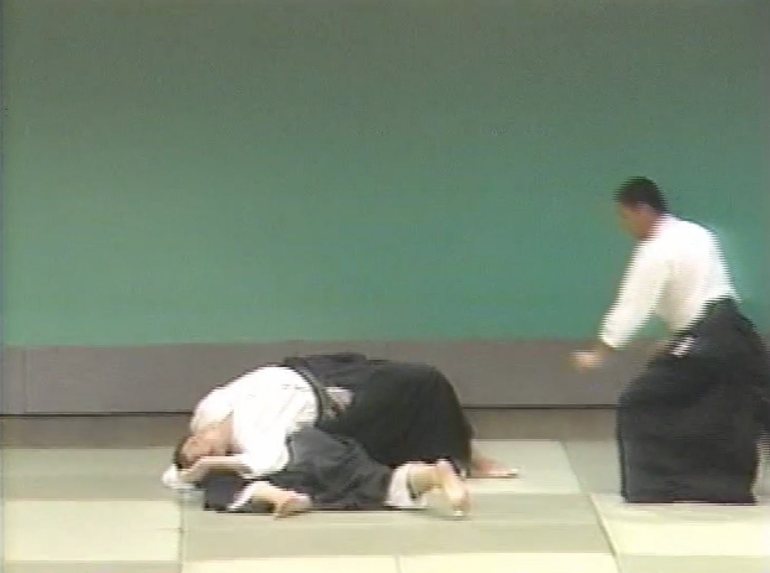 3rd Aikido Friendship Demo Part 2 DVD (Preowned) - Budovideos