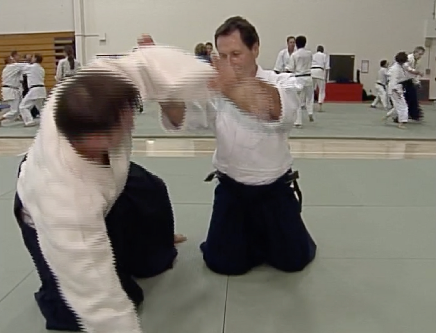 Aikido Odyssey DVD by Christian Tissier (Preowned) - Budovideos