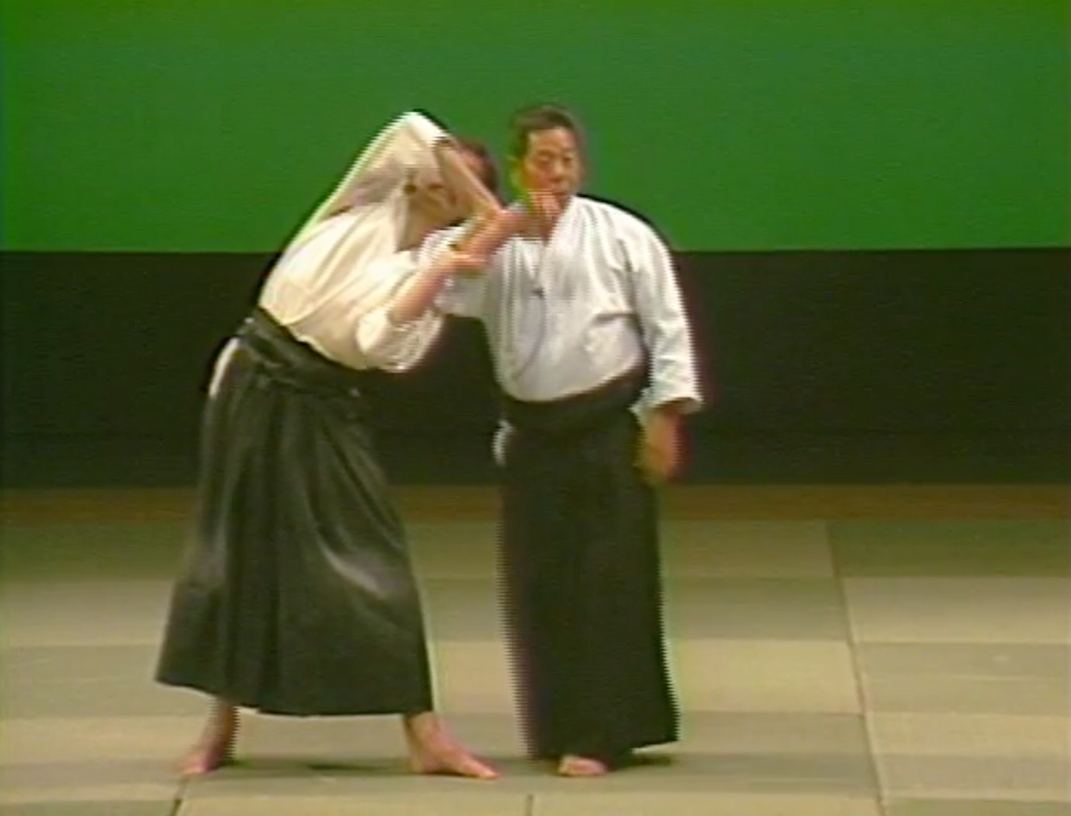 2nd Aikido Friendship Demo Part 1 DVD (Preowned) - Budovideos
