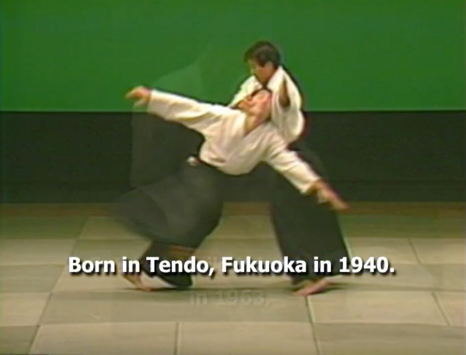 2nd Aikido Friendship Demo Part 1 DVD (Preowned) - Budovideos
