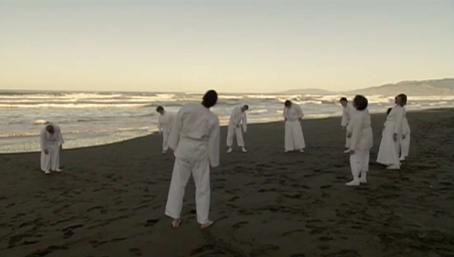 Shintaido Body Movements of Self Expression DVD by Haruyoshi Fugaku Ito (Preowned) - Budovideos