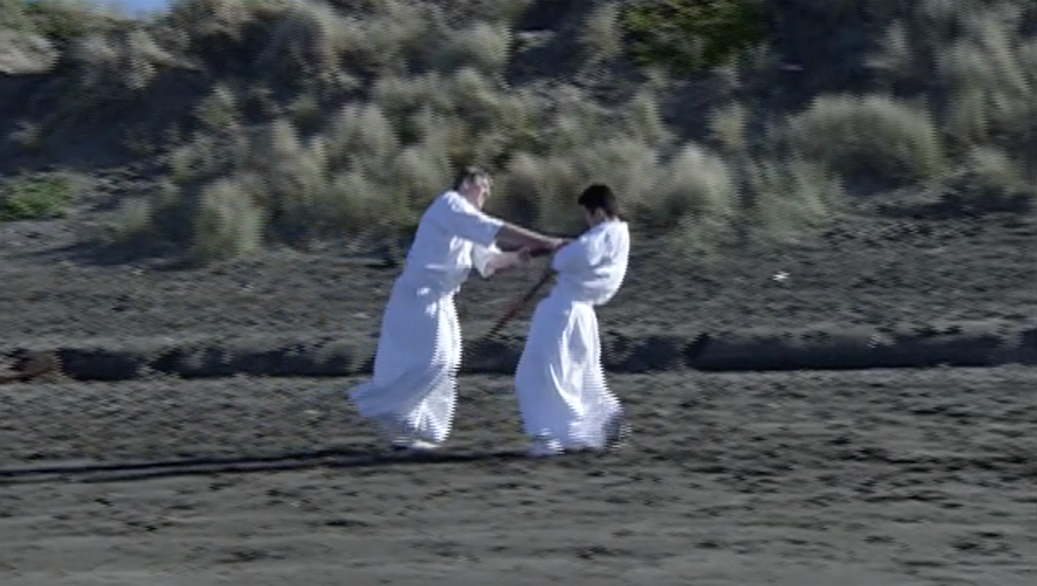 Shintaido Body Movements of Self Expression DVD by Haruyoshi Fugaku Ito (Preowned) - Budovideos