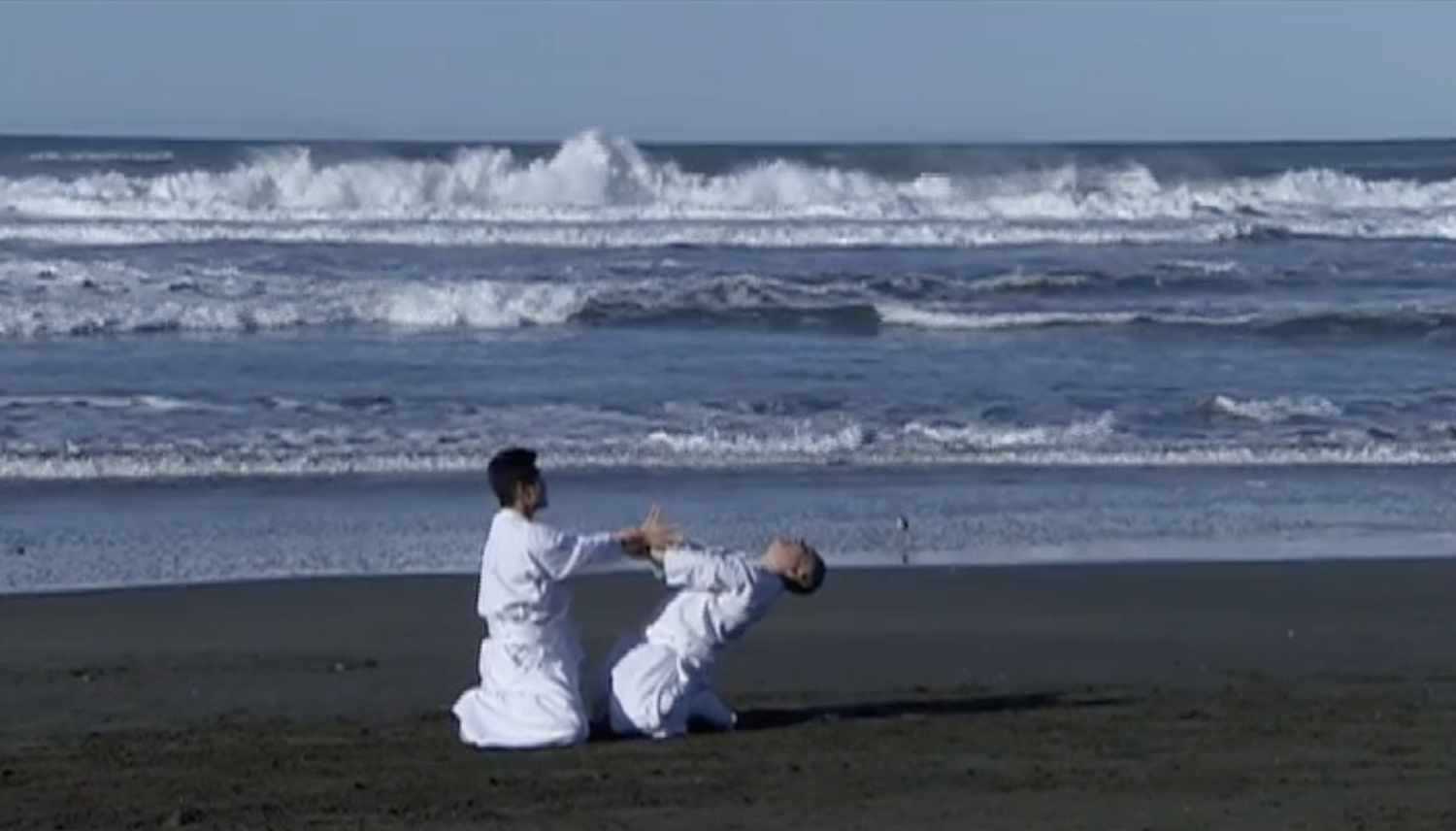 Shintaido Body Movements of Self Expression DVD by Haruyoshi Fugaku Ito (Preowned) - Budovideos