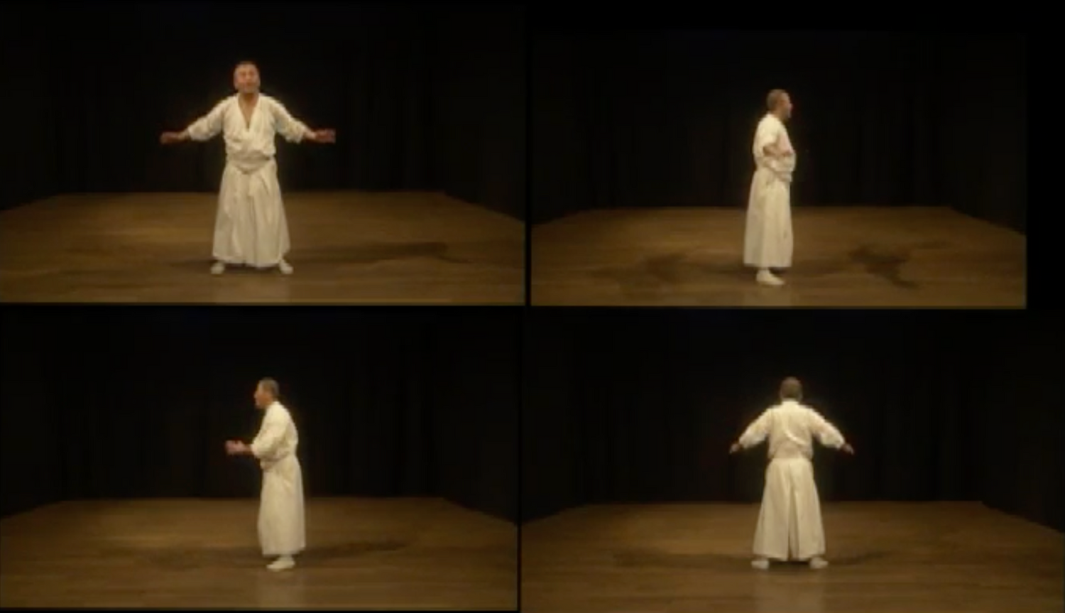 Shintaido Body Movements of Self Expression DVD by Haruyoshi Fugaku Ito (Preowned) - Budovideos