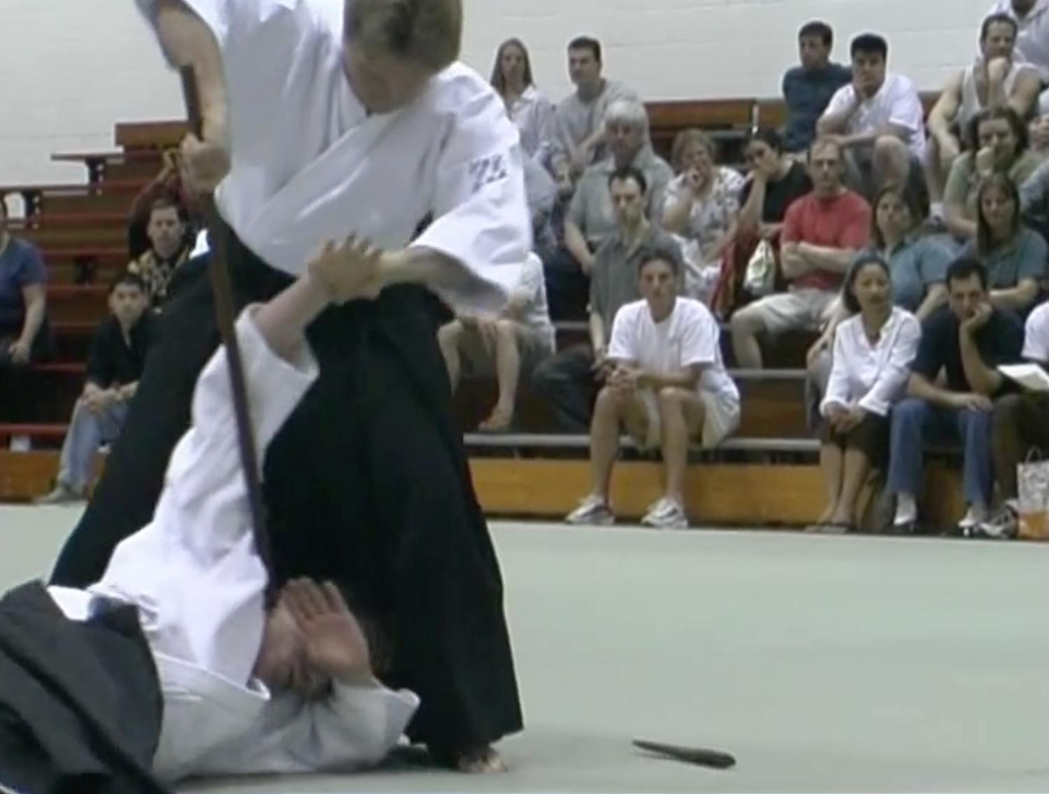 Aiki Expo 2002 Demonstrations Part 1 DVD (Preowned) - Budovideos