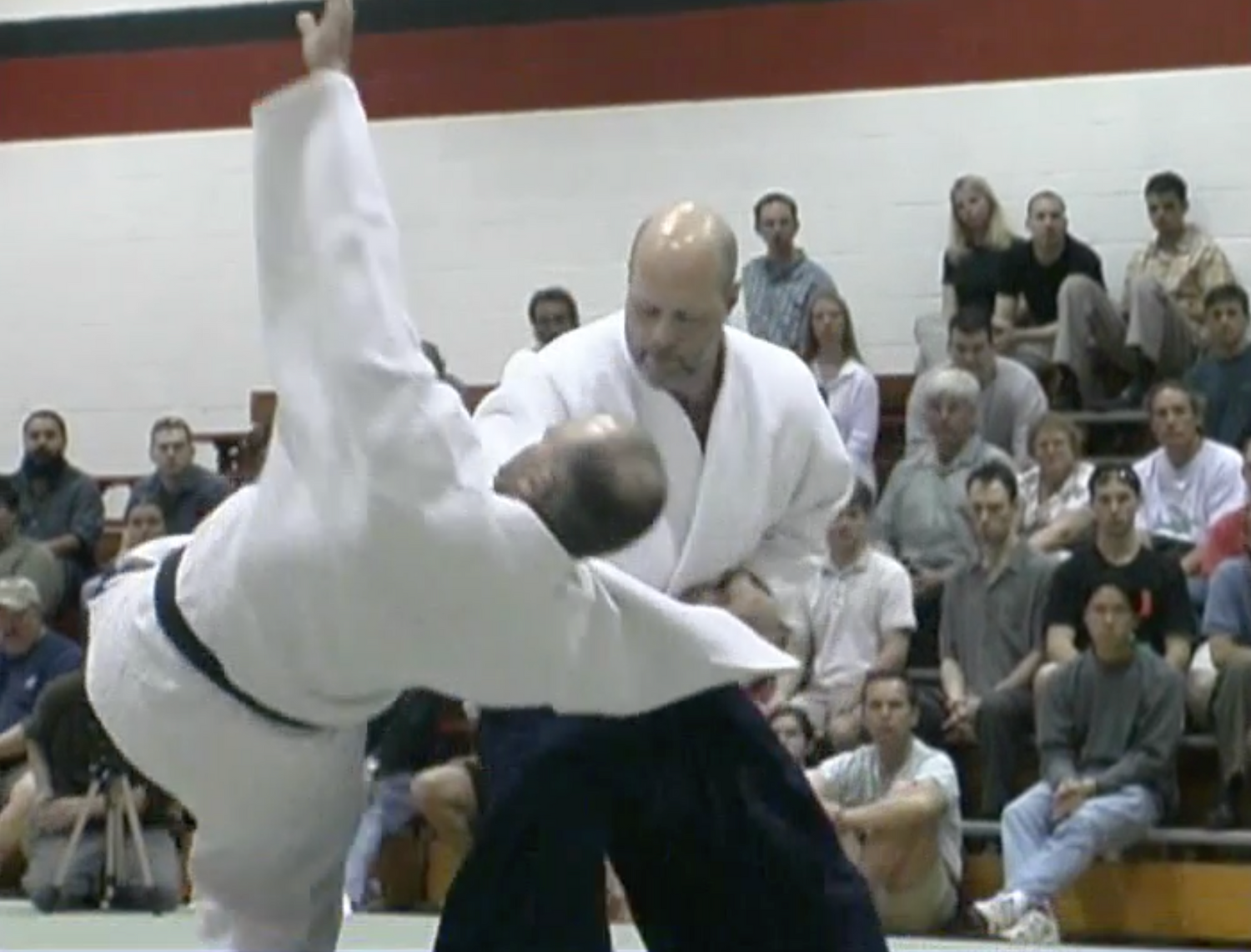 Aiki Expo 2002 Demonstrations Part 1 DVD (Preowned) - Budovideos
