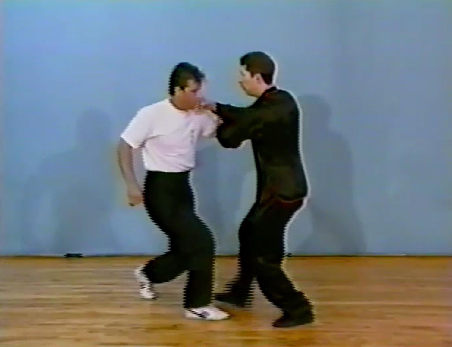 Seven Star Praying Mantis Kung Fu 12 DVD Set by John Funk (Preowned) - Budovideos