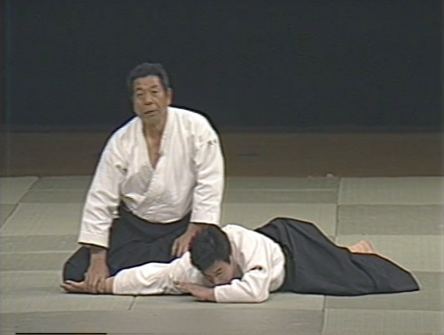 1st Aikido Friendship Demo DVD 2 (Preowned) - Budovideos