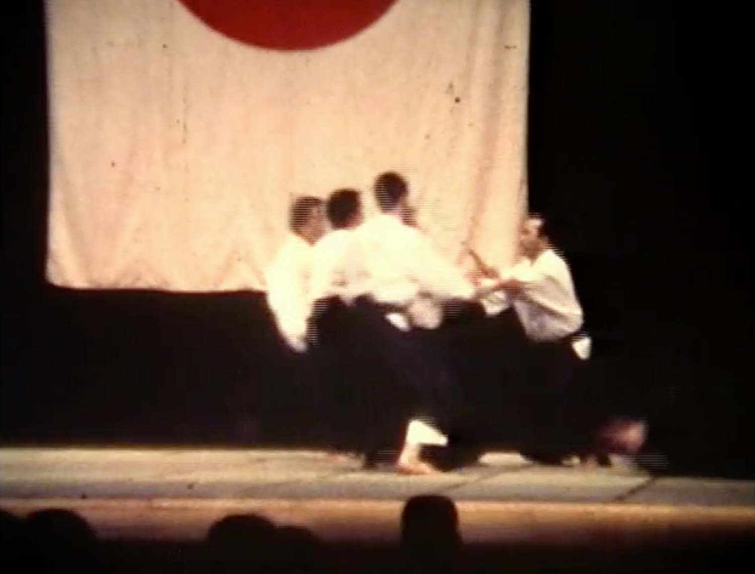 1st Aikido Friendship Demo DVD 2 (Preowned) - Budovideos