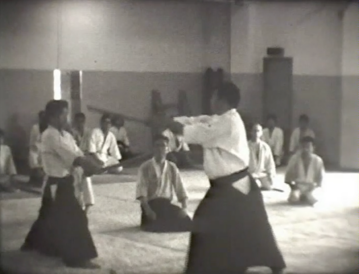 1st Aikido Friendship Demo DVD 2 (Preowned) - Budovideos