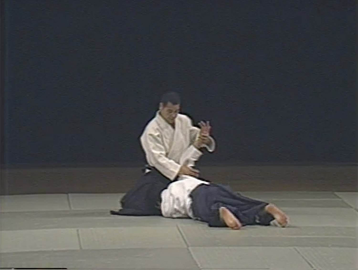 1st Aikido Friendship Demo DVD 1 (Preowned) - Budovideos